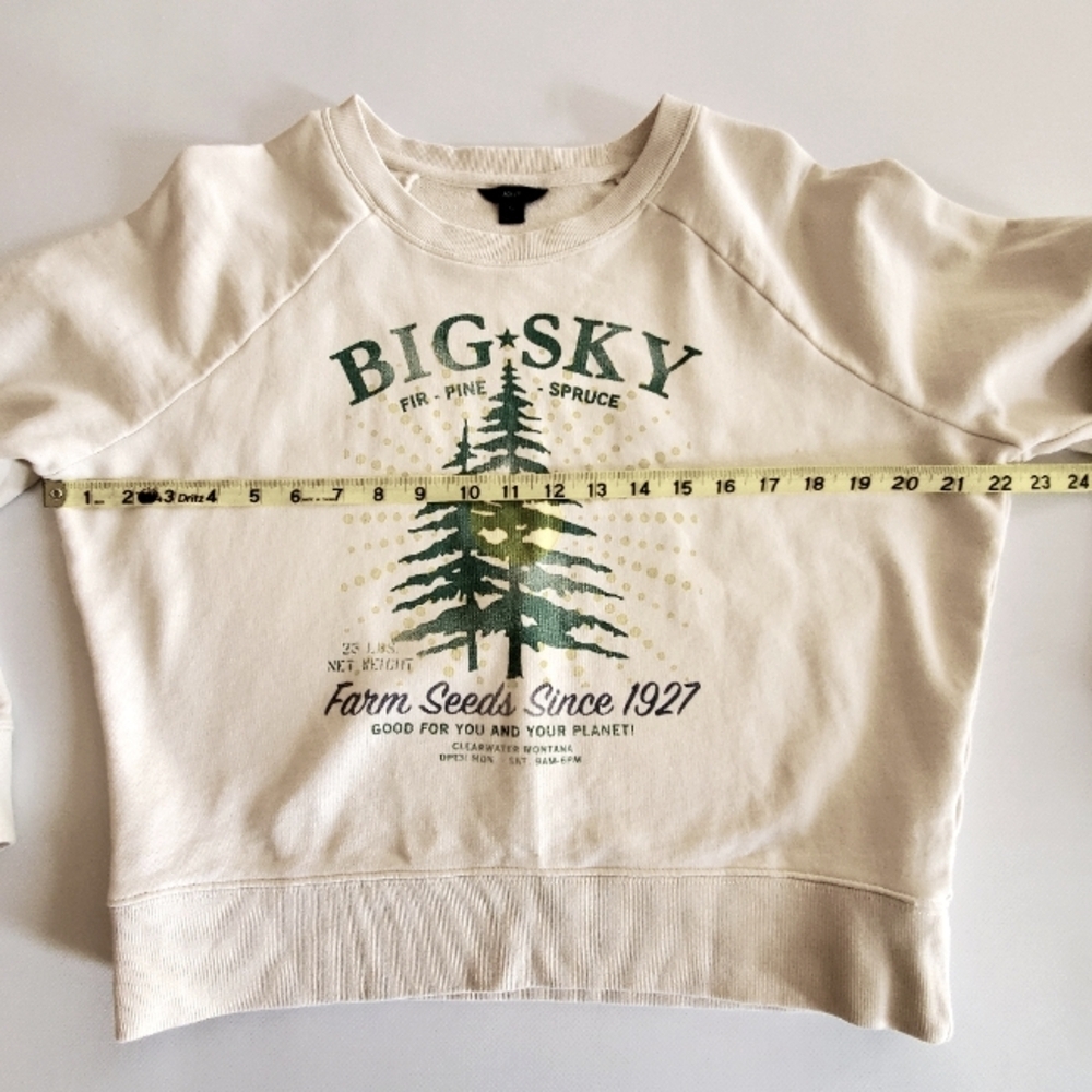 J. Crew Cream Hoodie with Green and Yellow Design - Picture 6 of 7